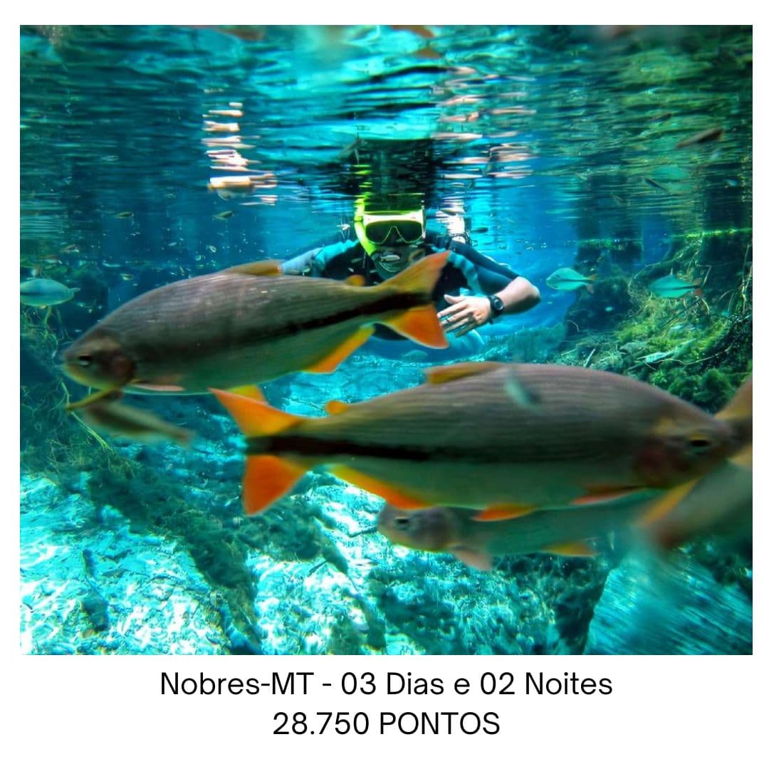 Nobres-MT - 03 Dias e 02 Noites